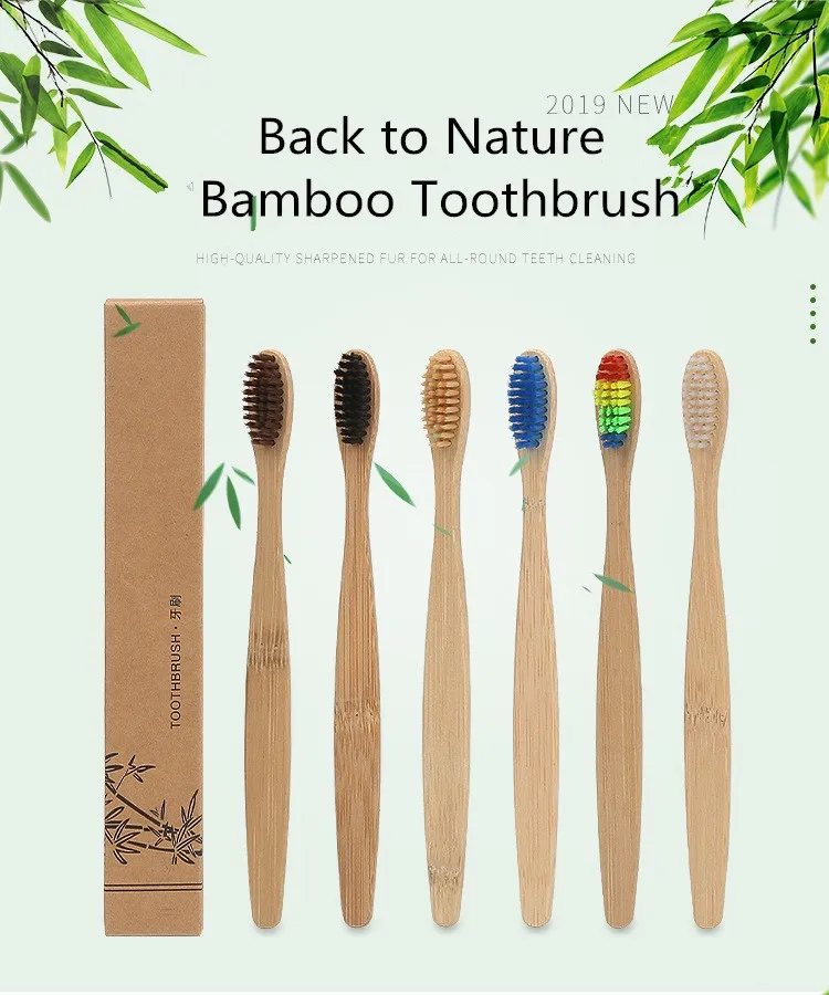 Dental Oral Care Organic Bamboo Toothbrush With Recycled Cardboard