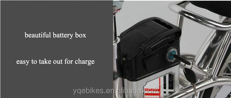 48v 250w Electric Bike Electric Bicycle