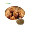 100% Natural Regular Ground Walnut Shell Powder