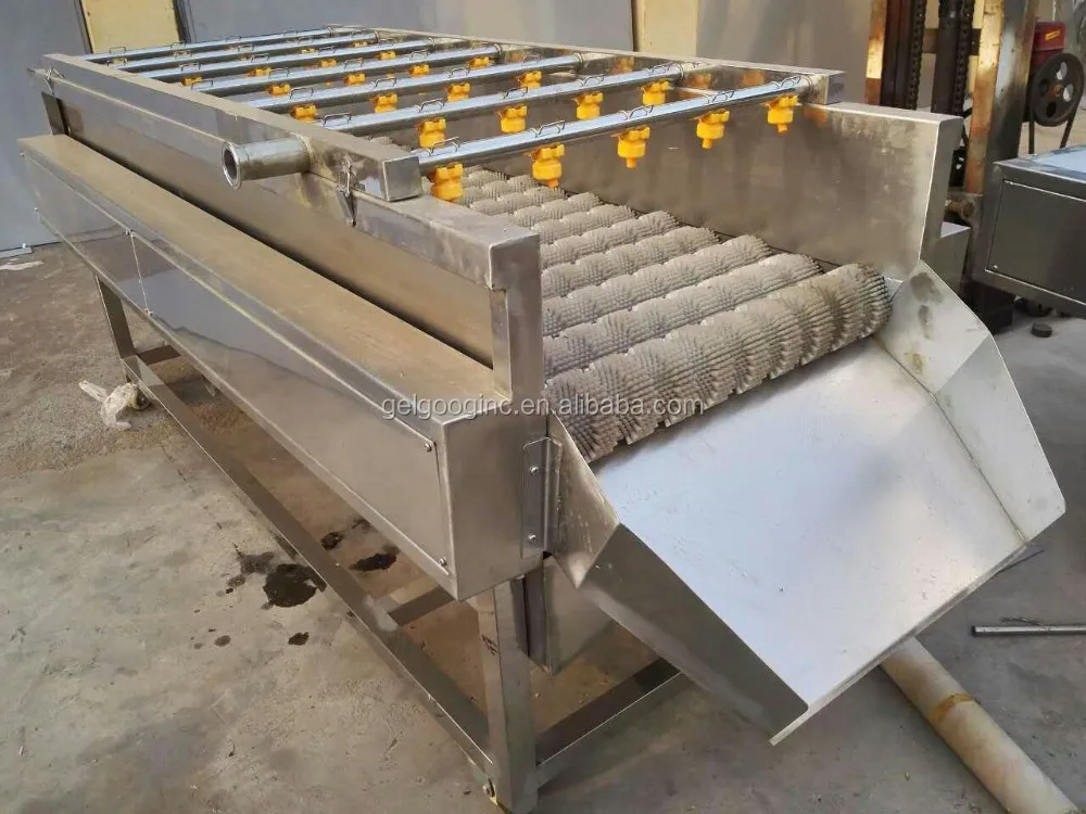 1000KG/H Fruit and Vegetable Washing Machine - Dates Line
