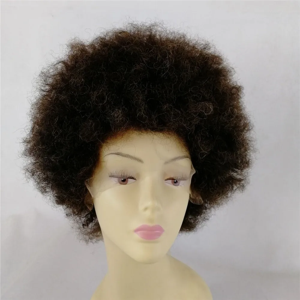 Afro Wig 100 Brazilian Human Hair 4a 4b 4c Human Hair Wig Buy 4a 4b