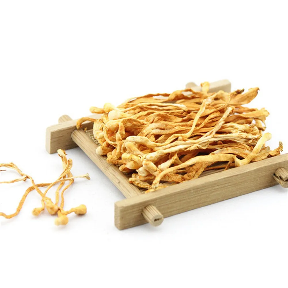 health supplement wild dried caterpillar fungus cordyceps