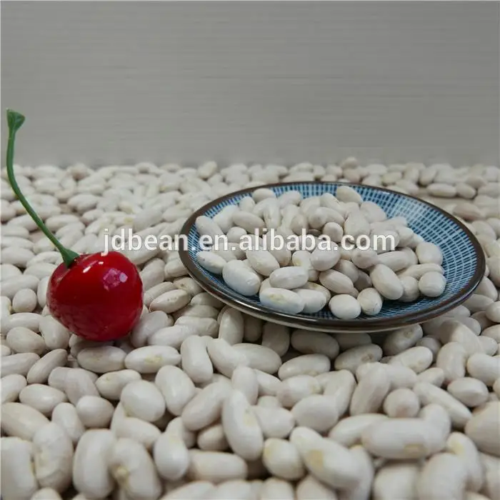 White Kidney Beans / Butter Bean / White Bean Buy White Kidney Beans