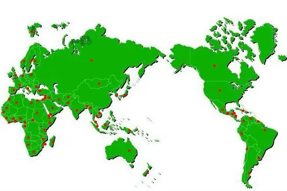 Sale Network