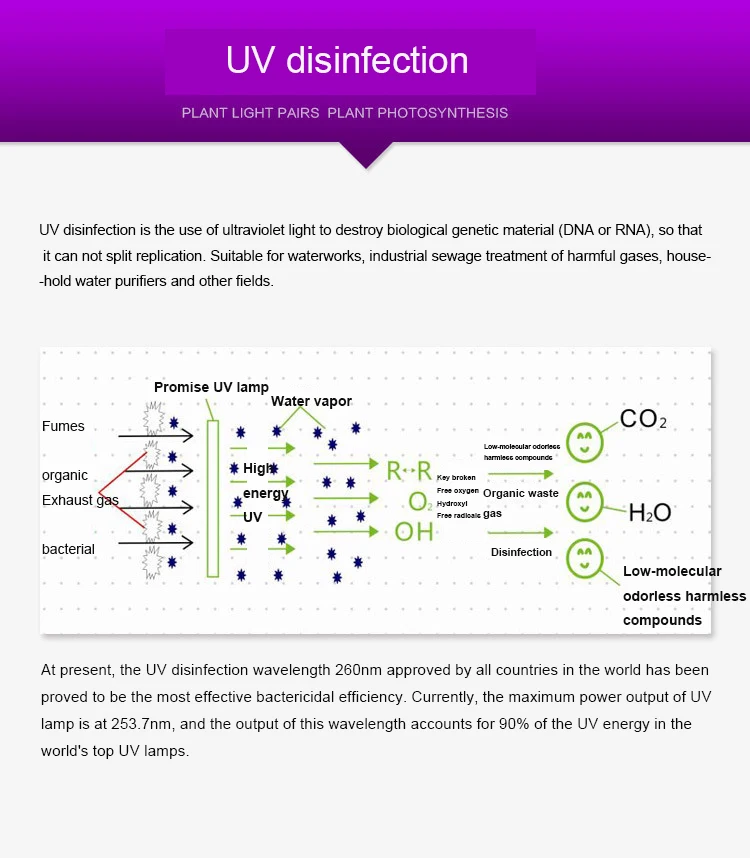 4084940156_1987930460