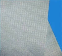 ripstop of gasket.jpg