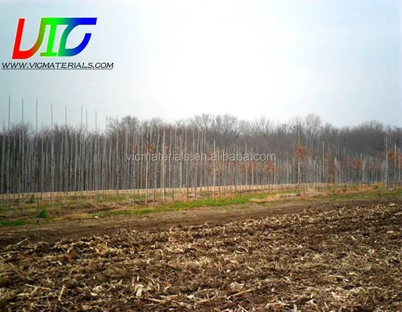 
Reliable and Cheap plastic tree stake for wholesale 