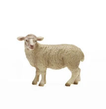 720 Gambar Hewan Ternak Domba Gratis Terbaik