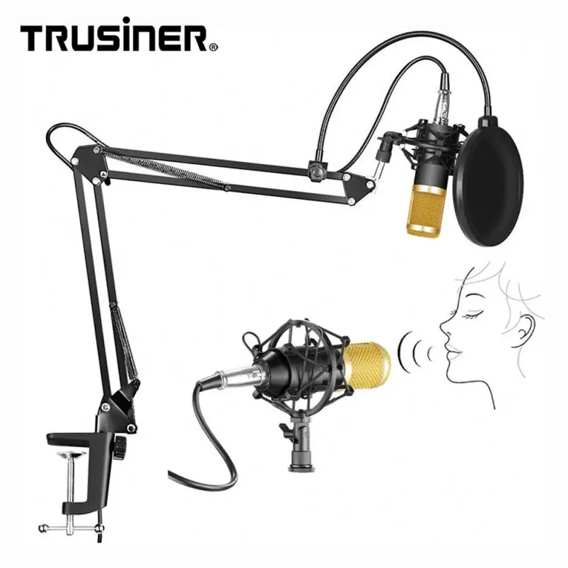 

Cheap Price Isk Bm800 Microphone, Black/silver/custom