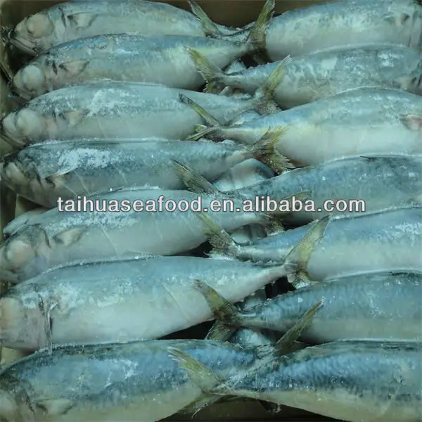 Best Seafood Dried Salted Cod Fish Buy Dried Salted Cod Fish,Iqf
