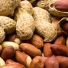 Grade A High Quality Peanuts Organic Peanuts factory price Peanuts without skin