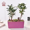 Different shape rectangular plastic flower pots