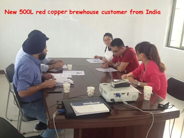 Red copper brewery manufacturing equipment for Pub