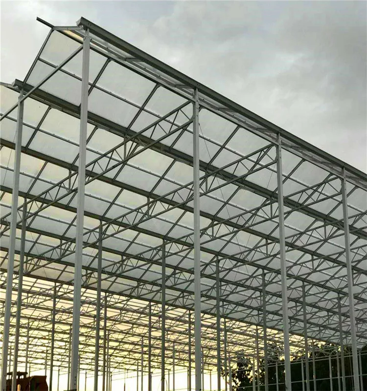 medical herbs commercial Singlespan Greenhouse