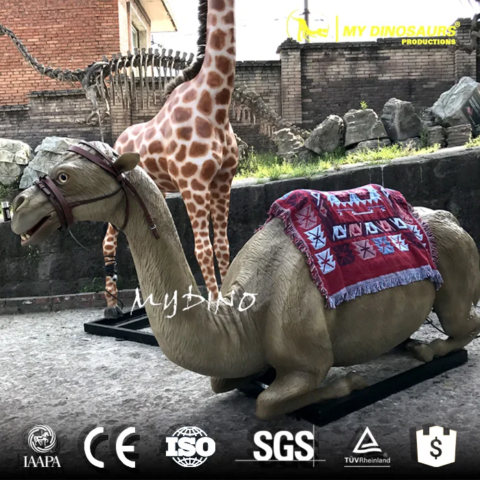 Animal Ride Camel.jpg