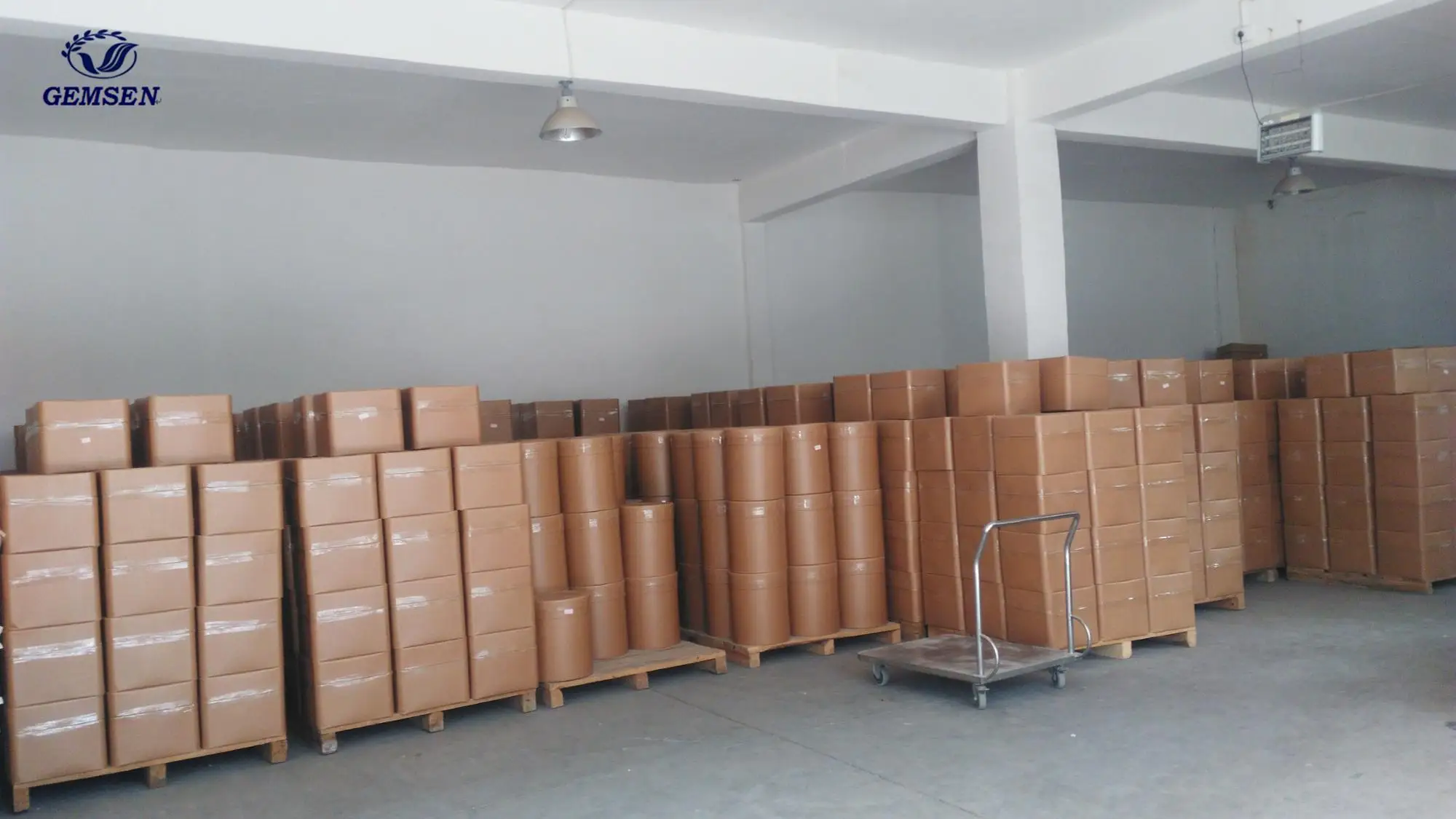 
Sport Supplements Nutrition Branched Chain Amino Acid Amino Acid Powder BCAA Powder 