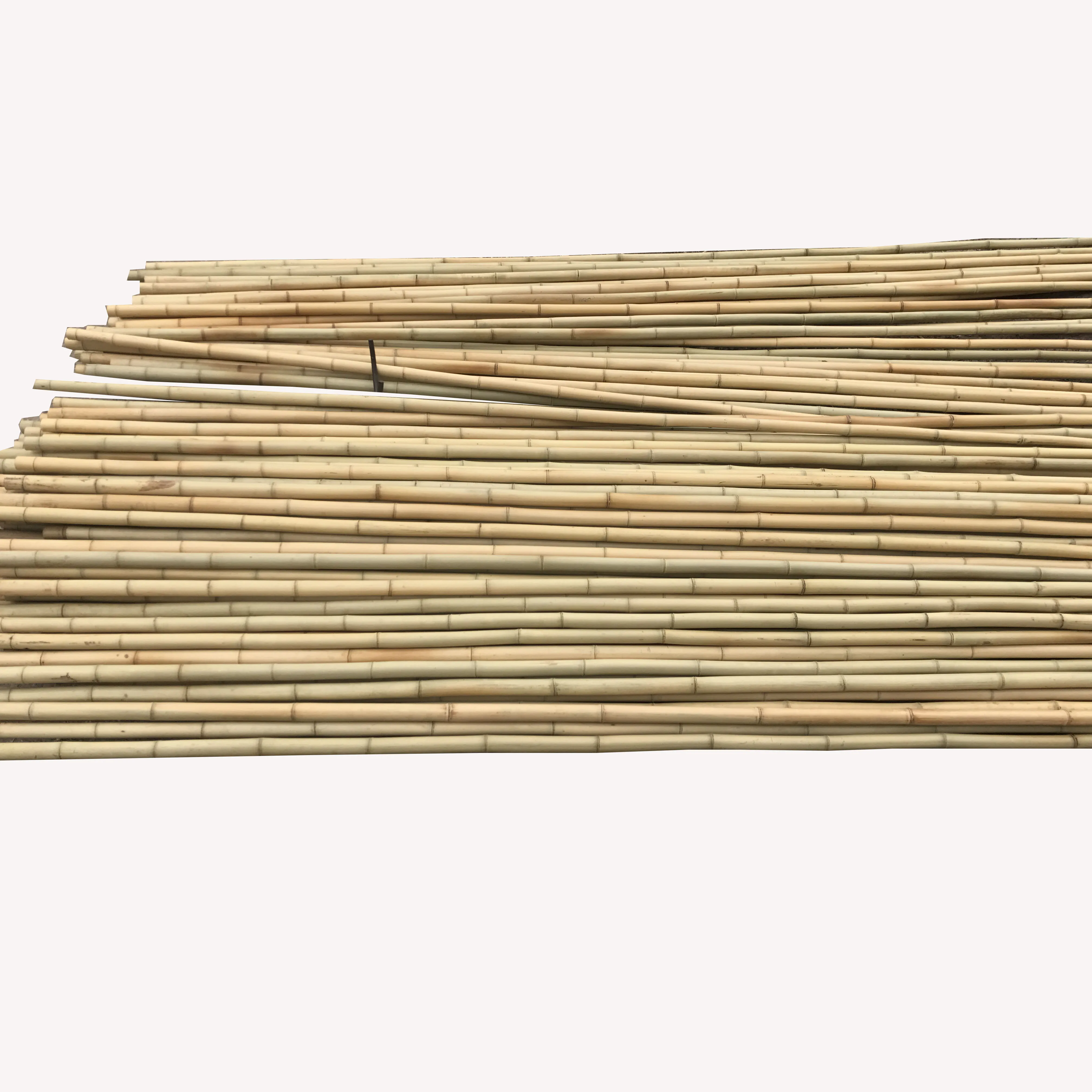 

FD-Natural Roasted Straight Yellow Bamboo Poles for fences