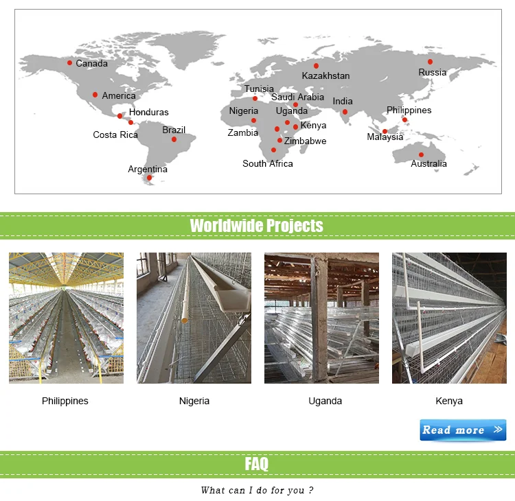 Poultry Chicken Pvc Feeding Trough For Automatic Broiler Layer Feeding