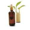 2018 Hot Selling New Product Full Range 5%~30% CBD Oil Drops without Additives Private Label Organic Hemp Healing Cream Hemp
