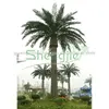Sleek Realistic artificial medjool date palms tree