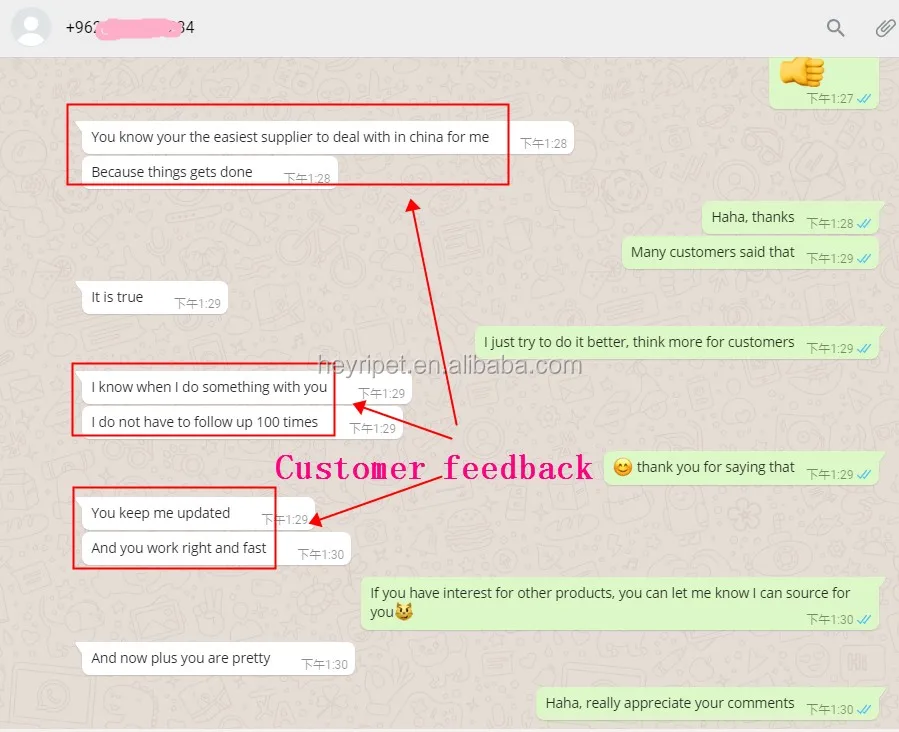 customer feedback z