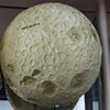 New 3D moon structure model teaching in high school geography teaching