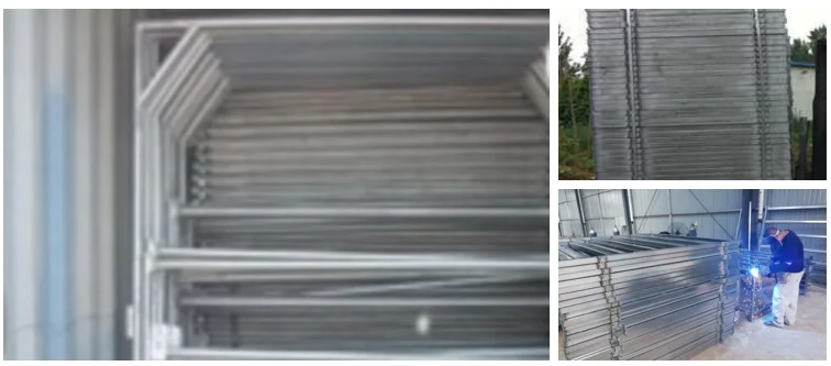 cattle panel4.png
