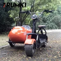 

hot sale new arrival mini electric bike sidecar with sidecar