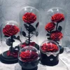 Wholesale Preserved roses flower in glass dome famous eternal rose, The Little Prince dry rose preserved flower glass dome home