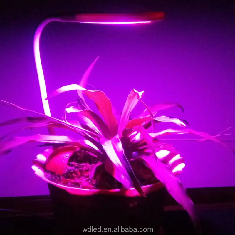 NEW plant growth light with full spectrum & latest 4W cheap grow lights for indoor plants