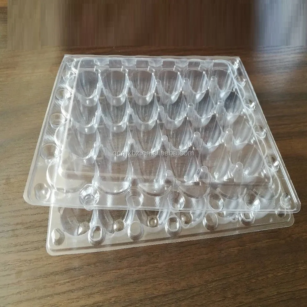Professional Customized Plastic Quail Egg Tray For Eggs Packing With