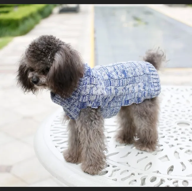design new dog sweater.JPG