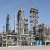 Alcohol distillery column, alcohol rectification column, alcohol distillation plant
