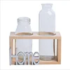 Factory direct sales, small and refreshing, creative home life decoration, NOEL wooden glass plant, water culture desktop decora
