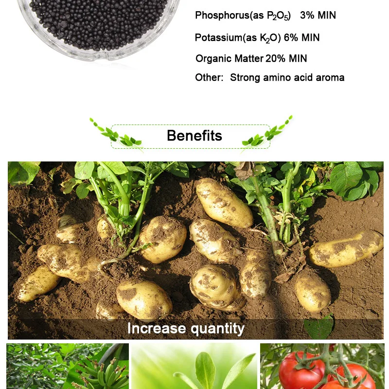 Amino Acid Organic Fertilizer NPK 12-3-6