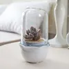 Innovation Goods 2019 Pots Type Indoor Smart Garden Succulent Pots