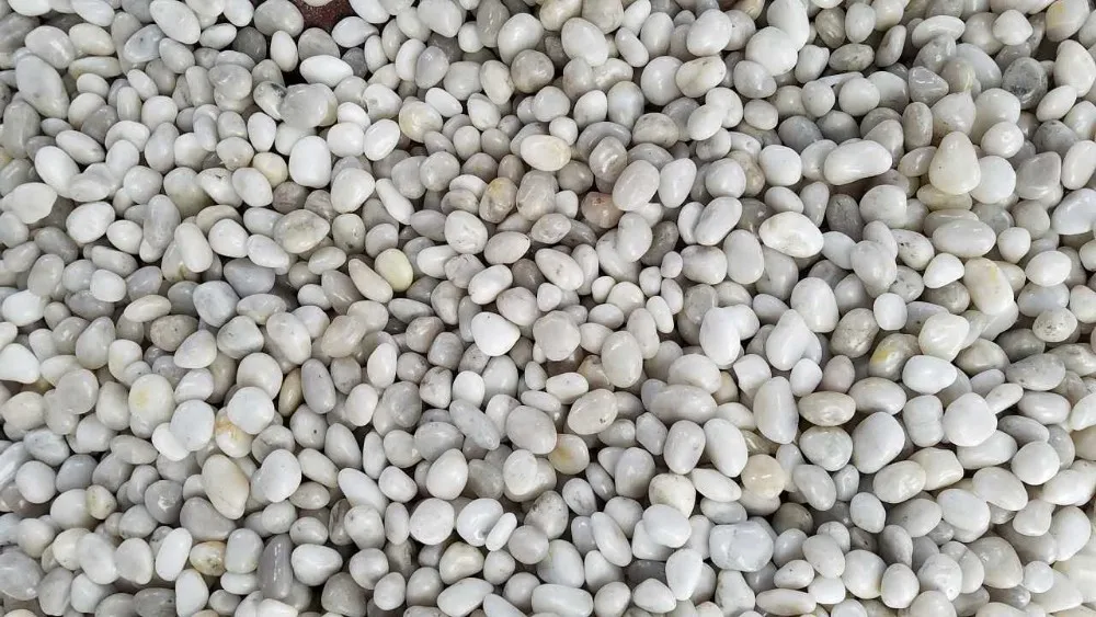 super polished round white river cobble pebble paving stone