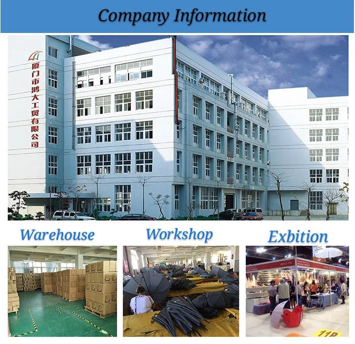 Company Information