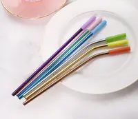 

Bent Stainless Reusable Decorative metal straw stainless steel drinking straws with silicone tip set