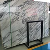 Wholesale Building Design Arabescato White Marble Slab