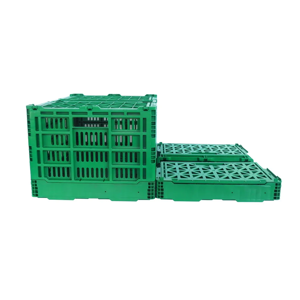 Heavy Duty Vented Type Plastic Crate 60 X 40 X 30 Cm Collapsible Fresh