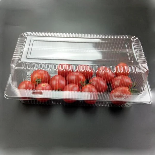 Clear Disposable Plastic Clamshell Fruit Packaging Buy Clamshell