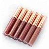 Newest 6 colors makeup matte and glitter liquid lipstick ladies moisture matte nude long lasting lipsticks