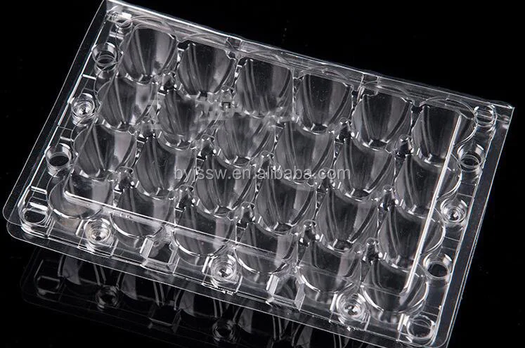 quail egg carton15.jpg