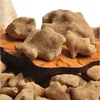 9008 Wu bei zi Traditional Chinese Herb Medicine Dried Gallnut
