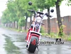 150 cc scooter with epa and dot MS0531EEC/EPA