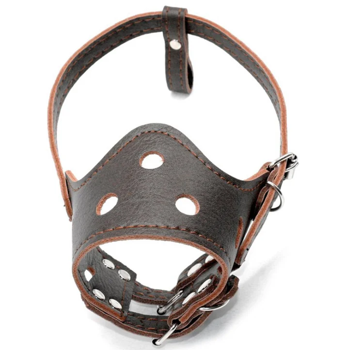 buy dog muzzle