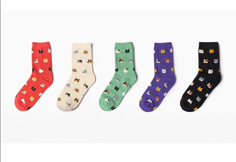 vivid-color-cute-cats-socks-which-is-made-in-korea-buy-vivid-color