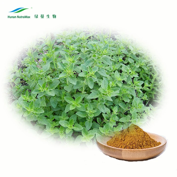 Oregano Leaf Extract Powder 101 Buy Oregano Leaf Extract,Oregano