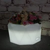 Rechargeable Bloom Luminous Led Flower Pot